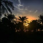 Mehrave Sharifinia Instagram - ...📷📝🌴☀️🎹... فكر كردم براى معرفىِ قصه هاى كانال اين عكس كه خودم اون روزا در آبادان گرفتم مناسب تره! هفته ى قبل دو تا خاطره از روزهاى خوبِ آبادان رو در كانال تلگرام گذاشتم، سومين قسمتش هم بالاخره آماده شد. اگه دلتون خواست و حال داشتين خوشحال مى شم هر سه قصه رو بشنويد. آخراى شب براى قصه شنيدن زمان مناسبيه خدا رو چه ديديد شايد با شنيدنِ قصه ها و صداى زيباى پيانو خوابتون پر از مهربونى بشه. 😊💐 لينك كانال در بيو هست mehravechannel ... با تشكر از: اميرحسين ابراهيمى مسلم رضايى ياسين رضوى سيد على صالحى @ebrahimiamirhosien @moslem.rezaei6 @seyedali.salehi ‏#mehraveee#mehravesharifinia #iranianactress ‎#مهراوه #آبادان