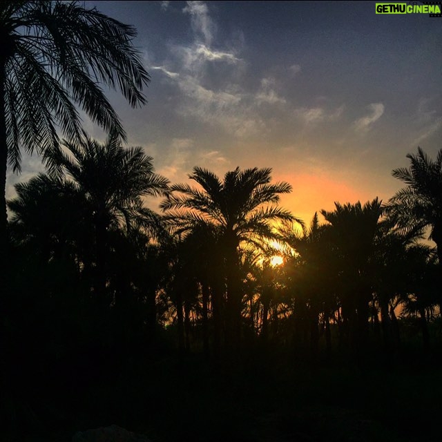 Mehrave Sharifinia Instagram - ...📷📝🌴☀️🎹... فكر كردم براى معرفىِ قصه هاى كانال اين عكس كه خودم اون روزا در آبادان گرفتم مناسب تره! هفته ى قبل دو تا خاطره از روزهاى خوبِ آبادان رو در كانال تلگرام گذاشتم، سومين قسمتش هم بالاخره آماده شد. اگه دلتون خواست و حال داشتين خوشحال مى شم هر سه قصه رو بشنويد. آخراى شب براى قصه شنيدن زمان مناسبيه خدا رو چه ديديد شايد با شنيدنِ قصه ها و صداى زيباى پيانو خوابتون پر از مهربونى بشه. 😊💐 لينك كانال در بيو هست mehravechannel ... با تشكر از: اميرحسين ابراهيمى مسلم رضايى ياسين رضوى سيد على صالحى @ebrahimiamirhosien @moslem.rezaei6 @seyedali.salehi #mehraveee#mehravesharifinia #iranianactress #مهراوه #آبادان
