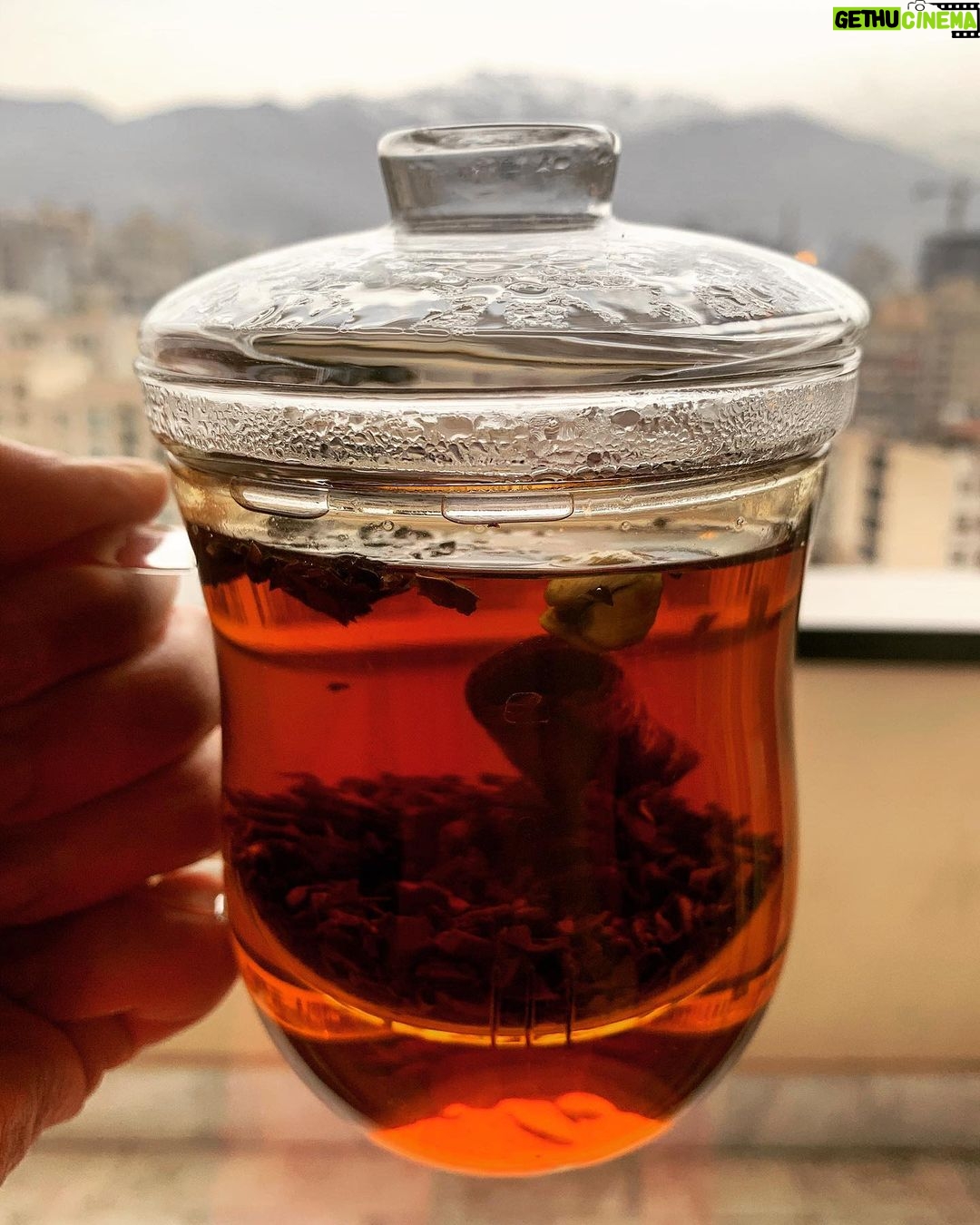 Mehrave Sharifinia Instagram - ' میگه: روز جهانی چای بود! میگم: مگه چای هم روز جهانی داره؟ میگه: آره. میگم: به نظرم مسخرهست. میگه: خب یه راه برای نشون دادن ارزش و اهمیته. میگم: که چی؟ میگه: که هیچی. قشنگه دیگه... ساکت میشم. اصلا نباید حرف میزدم. یه دونه چوب دارچین و دو تا دونه هل میندازم توی لیوان دمنوشخوریِ شیشهای و میذارمش روی کتری تا خوب دم بکشه. چرا روز جهانیِ لیوانِ دمنوشخوریِ شیشهای نداریم؟ هیچکس به اندازهی من دوستشون نداره؟ روز جهانی کودک! روز جهانی زن! یعنی در طول سال تا میتونی دهن یه نفر رو سرویس کنی ولی در اون روز خاص براش گل و کادو بخری و زحماتش رو ارج بنهی! تازه اگه یادت نره! نه یادت نمیره. اینقدر برات اساماس تبلیغاتی میاد که نمیذارن یادت بره چون باید بابت اون روزِ خاص پول خرج کنی. هر جا که قرار باشه پول خرج کنی نمیذارن یادت بره. از کی پول اینقدر مهم شد؟ یعنی الان مازراتی مهمتره یا گل خداداد عزیزی به استرالیا؟ میپرسه: به چی فکر میکنی؟ میگم: به گل خداداد عزیزی. میگه: چند سالت بود؟ میگم: هفده. میگه: چه حالی داد. چقدر عربده کشیدیم. کیف و ذوقش دیگه تکرار نشد. میگم: اون پنالتی که بیرانوند گرفت هم شبیه همون بود. میگه: آره، اونم باحال بود. ولی گل خداداد یه چیز دیگه بود. بعد از اون همه سال... میگم: اگه بهت بگن میتونی از بین سه تا گزینه یکی رو انتخاب کنی، کدوم رو انتخاب میکنی؟ گزینهی یک: روز بازی ایران و استرالیا جای خداداد عزیزی باشی، گزینهی دو: روز بازی ایران و پرتغال جای بیرانوند باشی، یا گزینهی سه: یه مازراتی داشته باشی؟ یه کم بهم نگاه میکنه. چاییم رو از دستم میگیره و نصفشو میریزه تو لیوان خودش. روی هر دو تا لیوان آب جوش میریزه. لیوانمو بهم پس میده و میپرسه: انتخابِ دیگهای ندارم؟ میپرسم: چی مثلا؟ میگه: تو رو بردارم بریم شمال. میگم: جریمه میشیم. میگه: مازراتیمو میفروشم جریمهشو میدم. ' ' ' پینوشت: 🥈⚽️👏🏻👏🏻👏🏻 •ببری ببازی دوستت داریم. نایب قهرمانیمون در جام باشگاههای آسیا مبارک. ❤️ ' #پرسپولیس #آخرین_روز_پاییز #چای #تکه_پاره_های_عاشقانه_رویا ' '