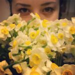 Mehrave Sharifinia Instagram - 😍💐😍... خواب آلود بودنِ چشماى منو به زيبايىِ نرگس ها ببخشيد ❤️