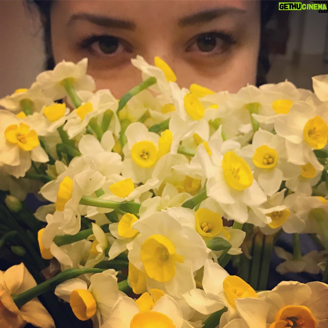 Mehrave Sharifinia Instagram - 😍💐😍... خواب آلود بودنِ چشماى منو به زيبايىِ نرگس ها ببخشيد ❤️
