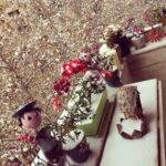 Mehrave Sharifinia Instagram - 😱😔❄️... در سرما مراقبت از گل ها و گياهان خود را به من بسپاريد!ا 😒🌹🍁🍂🌼🌸🌻🍃❄️
