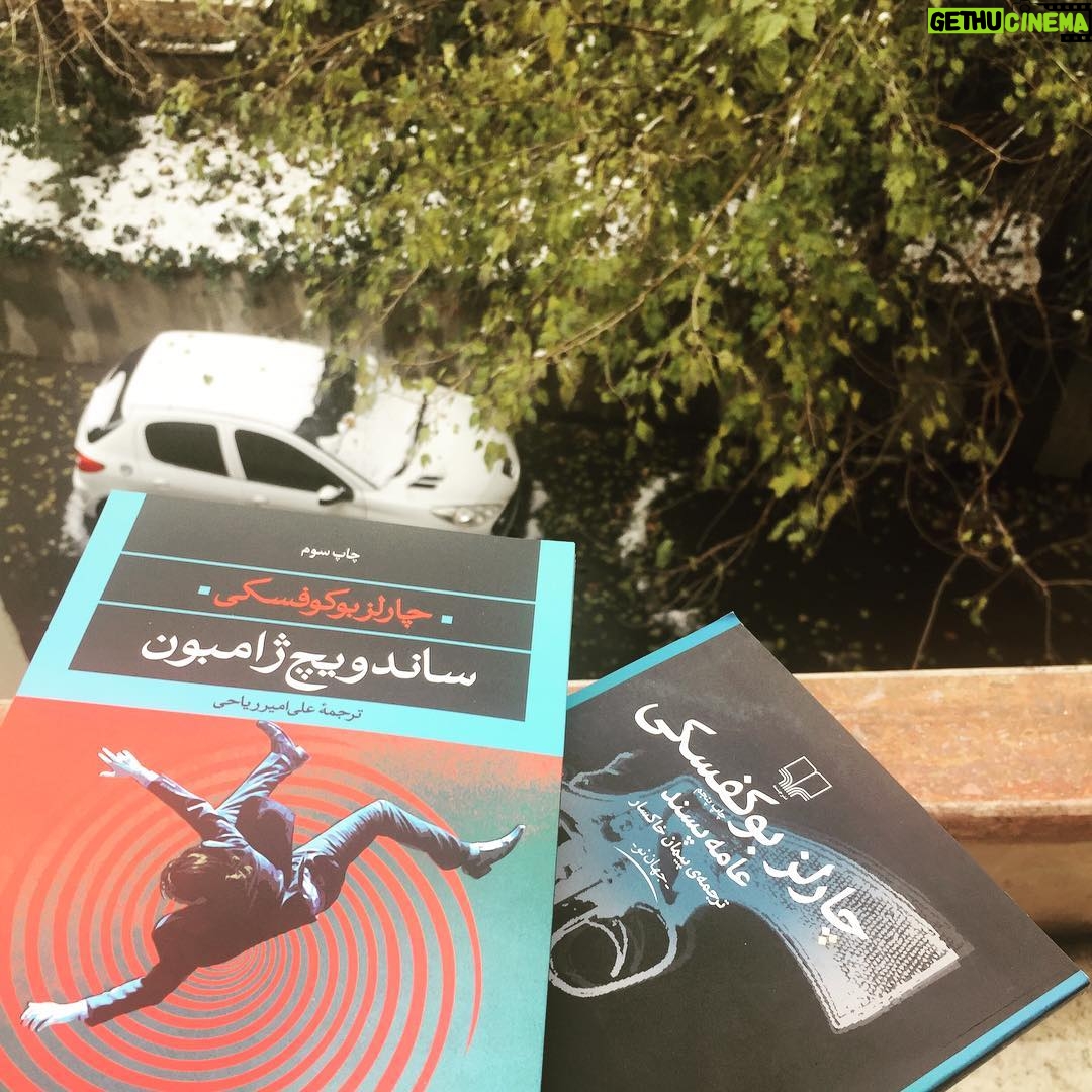 Mehrave Sharifinia Instagram - 📚🍁🍂... در روزهاى عجيبِ پاييزىِ برفى مى تونى ژاكت بپوشى يه ليوان چاى بريزى بشينى روبروى پنجره و كتابى از نويسنده ى مورد علاقه ات بخونى. هر از گاهى صداى كلاغ، صداى چرخش لاستيك ماشين روى برف هاى آب شده و صداى بلندگوى وانتى هايى كه آهن و چدن و سماور مى خرن، باعث مى شن سرت رو بالا بيارى و به كوچه نگاه كنى و توى دلگيرىِ عاشقانه ى پاييز غرق بشى. غرق شدن توى پاييزِ برفى رو دوست دارم. ---------------------.ا كتاب هاى "عامه پسند" و "هاليوود" رو قبلا خوندم، امروز خوندن "ساندويچ ژامبون" رو شروع مى كنم. نثر "چارلز بوكفسكى" بسيار جذابه، ترجمه ى فوق العاده ى "پيمان خاكسار" هم هميشه سبك نگارش هر نويسنده اى رو به بهترين شكل ارائه مى ده. نام ِانتشاراتِ معتبر مثلِ "چشمه" و "نگاه" هم براى اطمينان به يك اثر كافى هستند. كمتر پيش مياد اينجا كتابى رو معرفى مى كنم كه خودم هنوز نخوندم ولى بوكفسكى رو كلا بايد خوند. پى نوشت: _باز احمق شدم و كتاب "هاليوود" رو به كسى كه يادم نمياد قرض دادم، خدا رو شكر دوستام احمق تر نيستن و كتاب ها رو پس نمى دن😄😄😄 وگرنه الان "هاليوود" هم توى عكس بود.📚ا