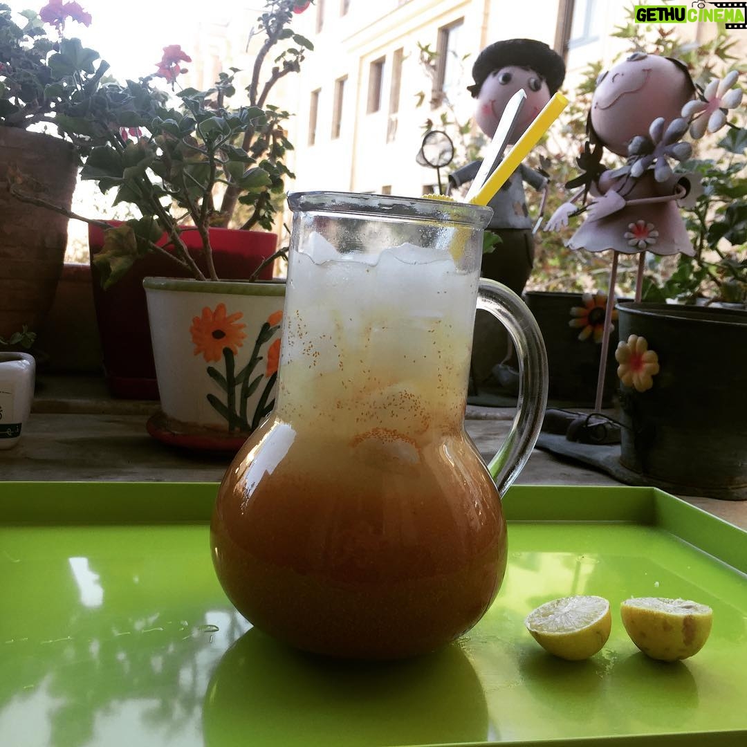 Mehrave Sharifinia Instagram - 😍... خاكشير