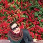 Mehrave Sharifinia Instagram - 🌺🌹❤️... سال نو مبارك بهترين و شادترين روزها رو براتون آرزو مى كنم. پى نوشت: ١.ببخشيد دير شد,به اينترنت دسترسى نداشتم. ٢.ممنونم از همه ى مهر و محبتتون بابت برنامه ى سه ستاره، از امسال يك تنديس ارزشمند كه پر از انرژى خوب شماست سر سفره ى هفت سينمه. با همه ى وجودم قدرش رو مى دونم و دوستش دارم. ٣.خوش بگذرونيد حسابى 🌺🌹👍🏻❤️ ا ‏#mehraveee#mehravesharifinia #iranianactress