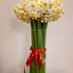 Mehrave Sharifinia Instagram - ' خونه‌ی حقیقی و مجازی توی پاییز و زمستون باید بوی نرگس بده😍 ' ' ' پ.ن: ۱.خیلی خوشحالم که این مدت تعداد زیادی از دوستان تشریف آوردند و تئاتر ما رو دیدند. از دیدنِ هنرمندان و همکارانِ عزیز و بزرگوار، دوستان عزیزدلم، فامیل‌های دوست‌داشتنی‌م، فن‌پیج‌های نازنین و تک تک شما مردم مهربون سرشار از شعف شدم.❤️ مادر جان😍و خواهر جان😍هم با حضورشون مثل همیشه بهم قوت قلب دادن. پدرجان هنوز افتخار ندادن☹️❤️. اجرای «مری پاپینز» در آذر و دی ماه ۱۳۹۸ ادامه داره. •تالار وحدت •ساعت ۱۸:۳۰ •تهیه‌ی بلیت از سایت ایران نمایش ' ۲.من چند تا دوست درجه یک دارم، که از داشتن‌شون خیلی خوشحالم، امیدوارم از این دوستانی بهتر از آب روان، نصیب همه‌تون بشه.❤️ ' ۳.ترک چهل روزه‌ی شکلات در سال قبل موفقیت‌آمیز بود ولی هرگز منجر به ترک کامل شکلات نشد و نخواهد شد.😬🍫❤️ این قول و قرارها برای سنجش اراده عالیه ولی اغلب به عنوان سبک جدید زندگی پذیرفته نمی‌شه، در مورد من که اینطوره. ' ۴.بدقولی بده، وعده‌ی‌ الکی دادن بده، دروغ گفتن بده، فریب دادن بده، تعریف زیادی کردن از چیزی که می‌دونی در اون حد نیست بده، اصرار و پافشاری بده، زورگویی بده، مظلوم‌نمایی بده، غرور و توهم بده،... اما حمل کردن دائم ِدلخوری‌ها و فکر کردن بهشون فقط خودت رو سنگین می‌کنه... برای ادامه‌ی زندگی مجبوری رها کنی تا سبک بشی سخته... زمان نیاز داره... ولی ممکنه. ' ' '