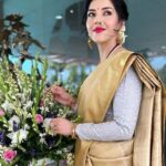 Mehrene Kaur Pirzada Instagram - Love for sarees 🌼 Pune, Maharashtra