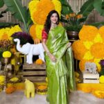 Mehrene Kaur Pirzada Instagram - Love for sarees 🌼 Pune, Maharashtra