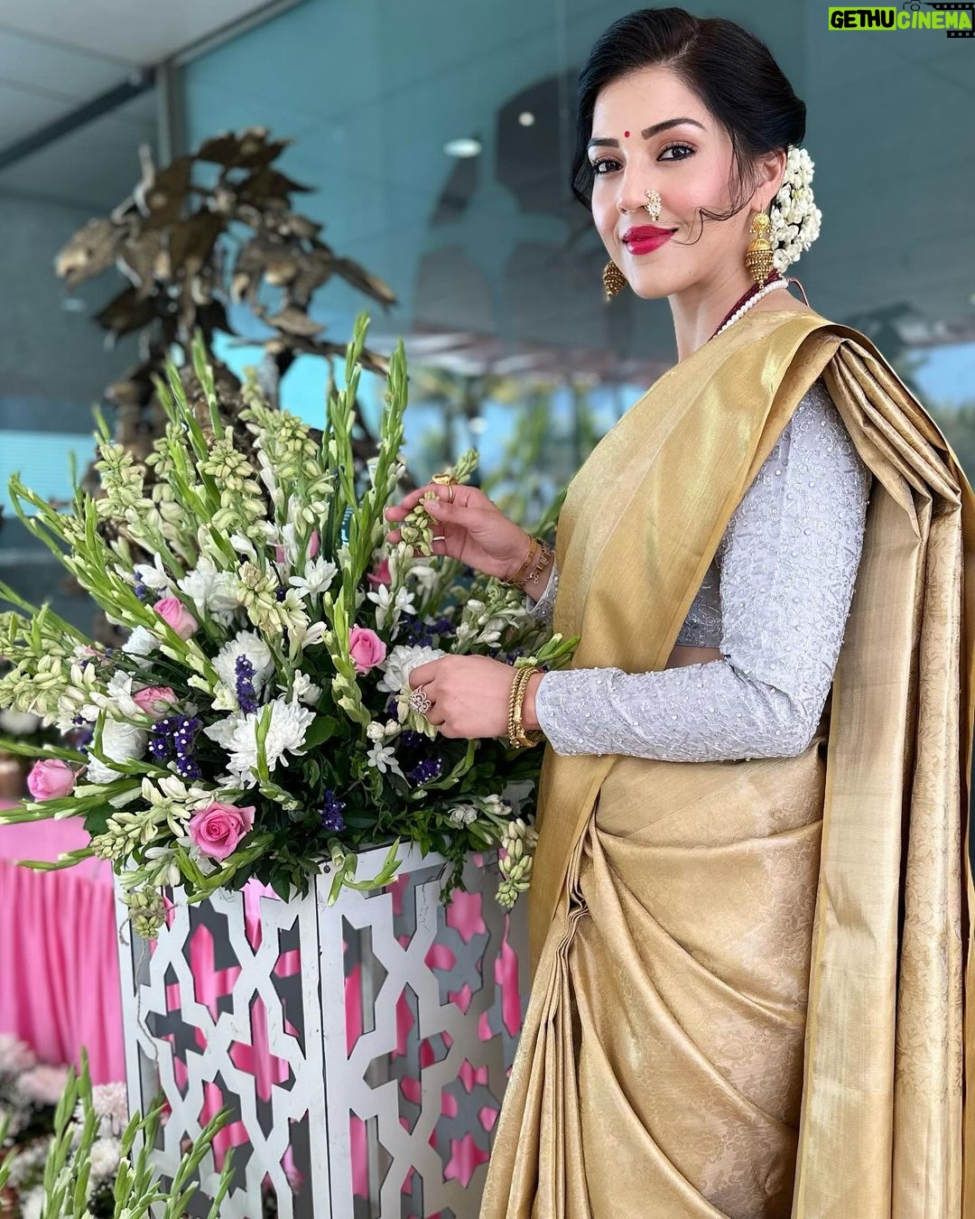 Mehrene Kaur Pirzada Instagram - Love for sarees 🌼 Pune, Maharashtra