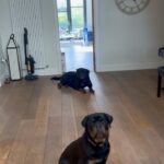 Mel B Instagram – Walking my boys 🌝 Leeds