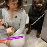 Mel B Instagram - Loving my Saturday night!! #dogs #lovethem #hair