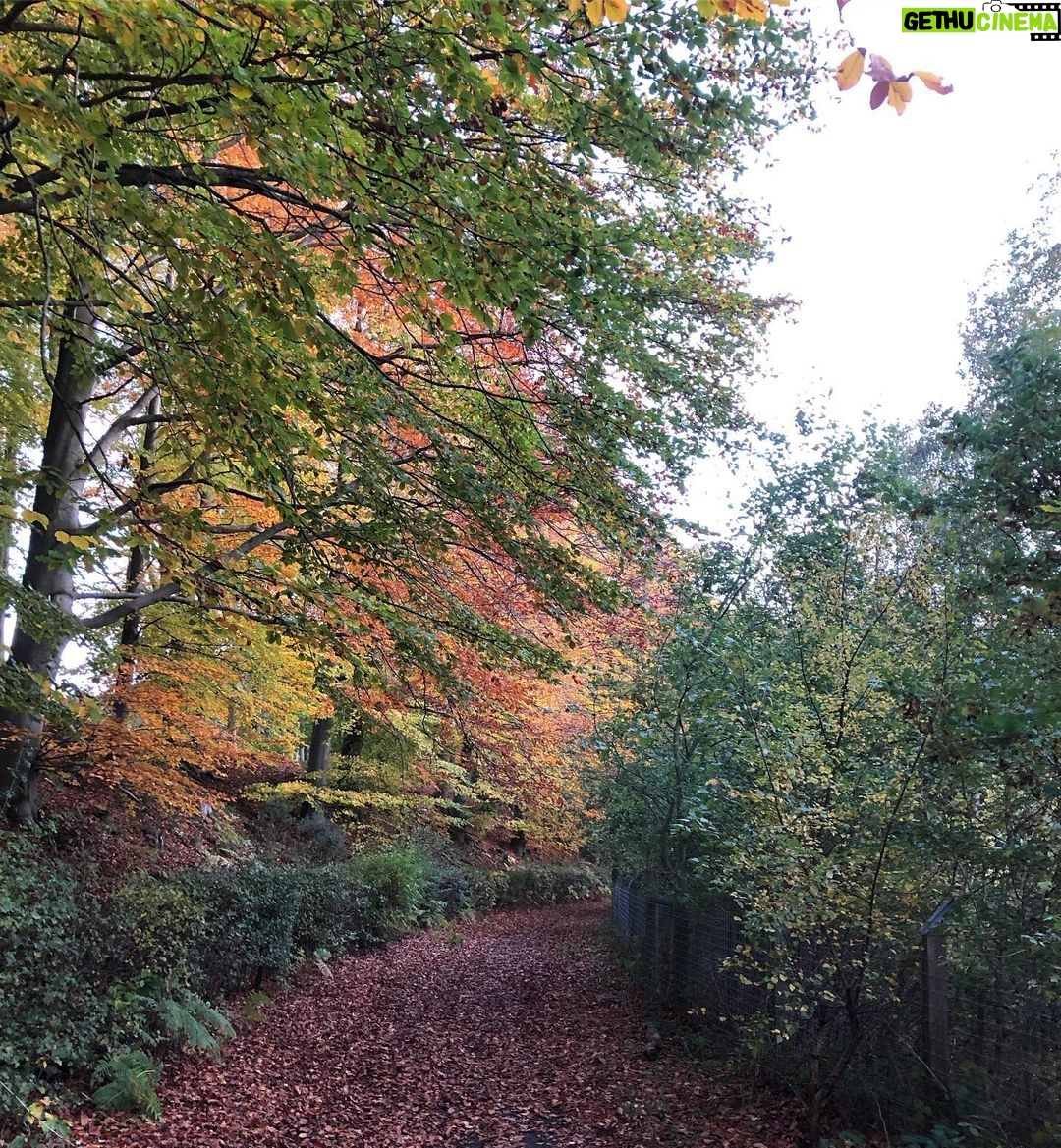 Mel B Instagram - Autumn is defo here which means Xmas is round the corner yipppeeee day 8 of my workouts since I gave myself yesterday off I went to the gym and ran/walked 6miles boom it wasn’t any easier,I kept telling myself it was but it wasn’t haha #nofilter #workoutmotivation #autumn