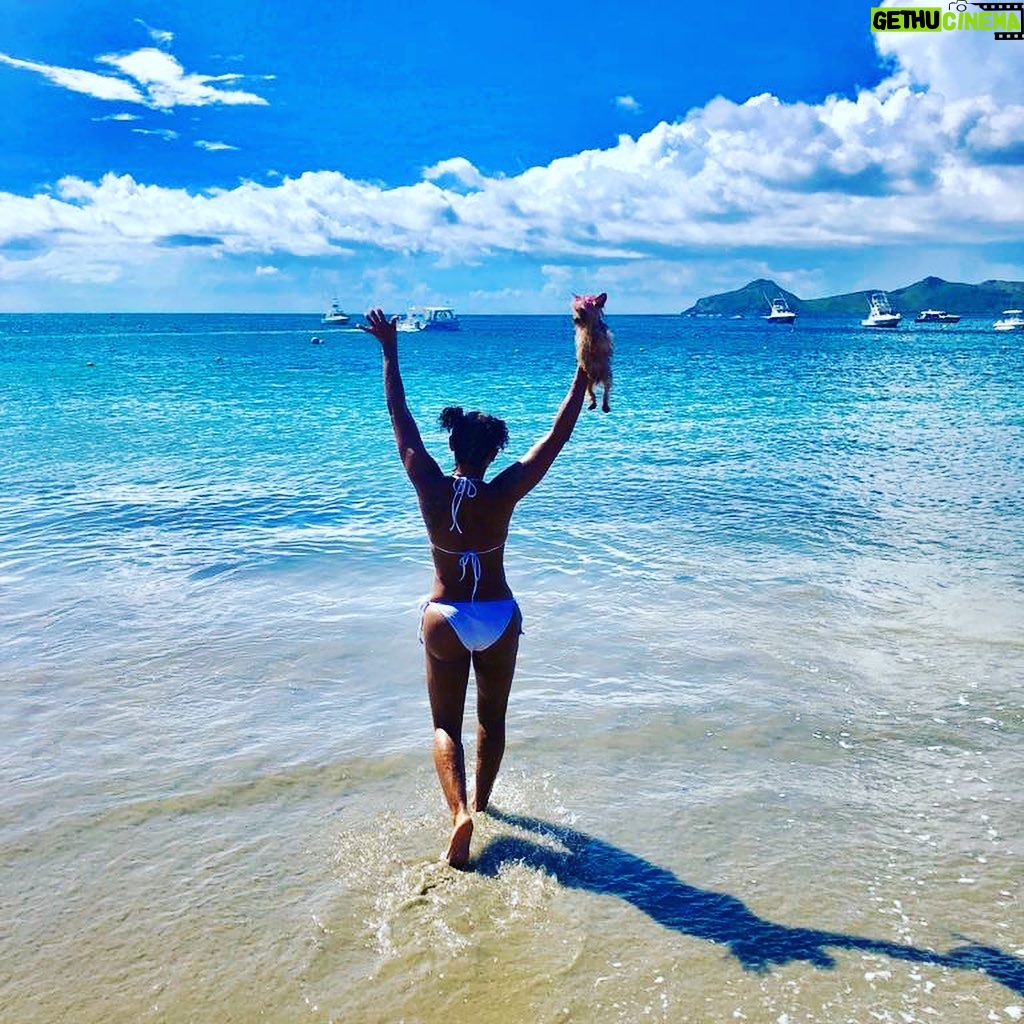 Mel B Instagram - Cookie is taking in the beautiful island of Nevis Island of Nevis