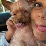 Mel B Instagram - Happy Mothers Day 💜💜💜 Heres to the chaos laughetr and endless love that fills our days to my 3 kids my mum I luv youso so muchhh Sending a big big hug to all the amazinggg mother figures out there You are real super heroes 🌷 #MothersDay