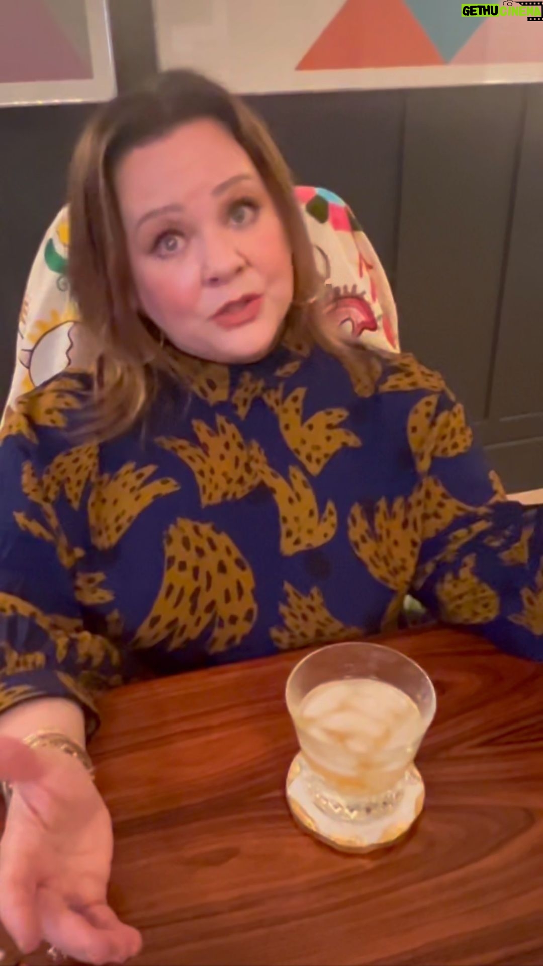 Melissa McCarthy Instagram - The one and only reoccurring dream I’ve had for the last decade of my life featuring @benjyfalcone @bignosekatewhiskey and DIANE.