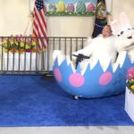 Melissa McCarthy Instagram - Spicey gone wild!!! #LiveFromLA #FallonStylesSNL @nbcsnl