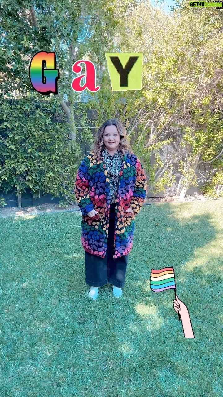 Melissa McCarthy Instagram - HIP HIP HOORGAY 🌈🎉⭐️