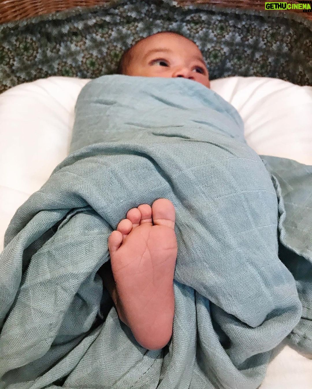 Melvin Gregg Instagram - No Words • Marley Amel Gregg