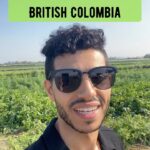 Mena Massoud Instagram - I’m gonna be cooking w/ some of you this weekend. What’s your favorite vegetable!? 👇🏽