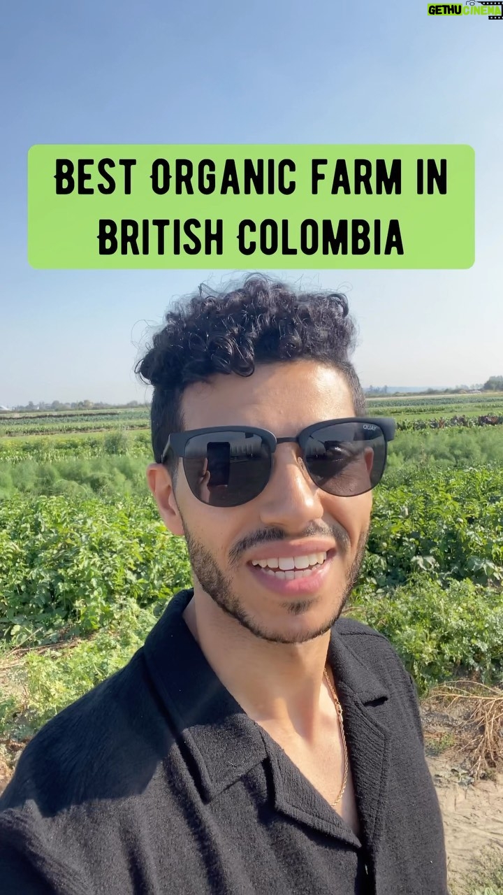 Mena Massoud Instagram - I’m gonna be cooking w/ some of you this weekend. What’s your favorite vegetable!? 👇🏽