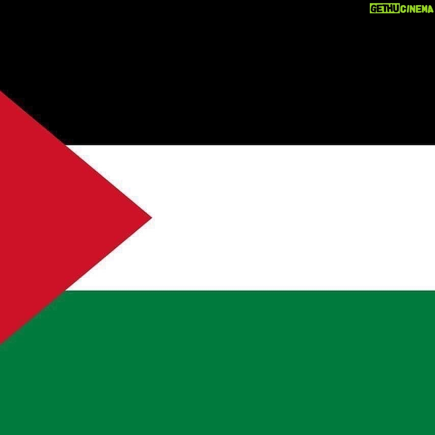 Menna Fadali Instagram - عاشت فلسطين حره ✌🏼🇵🇸🇵🇸🇵🇸 ربنا المنتقم الجبار لكي الله يا غزه لكي كل الحب يا فلسطين 🇵🇸 الله اكبر الله اكبر وحسبي الله ونعم الوكيل #فلسطين🇵🇸 #غزه #القدس 🇵🇸🇵🇸🇵🇸✌🏼🙏🏼