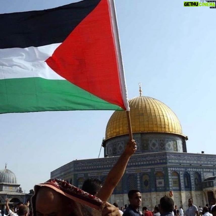Menna Fadali Instagram - #تحيا_مصر #فلسطين_عاصمتها_القدس 🇪🇬🇪🇬🇵🇸🇵🇸