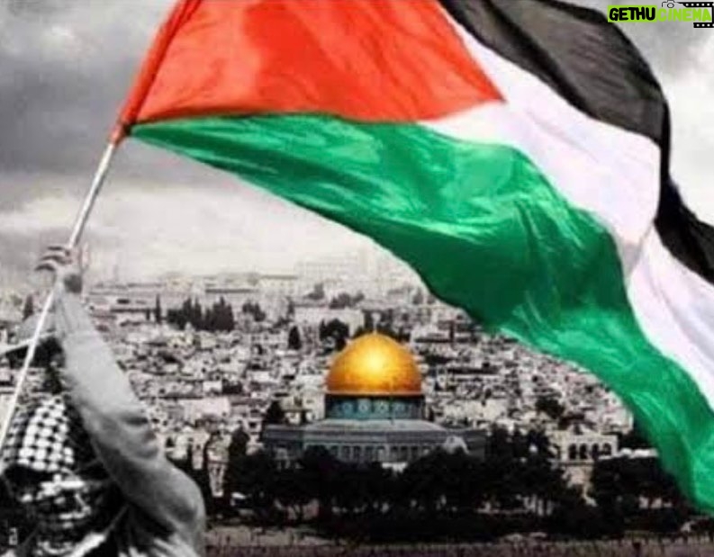 Menna Fadali Instagram - #فلسطين ❤️❤️❤️ #طوفان_الاقصي🇵🇸