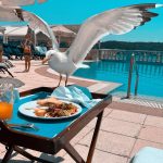 Meryem Uzerli Instagram – 💕 #istanbulmylove 🇹🇷 Ciragan Palace Kempinski Istanbul