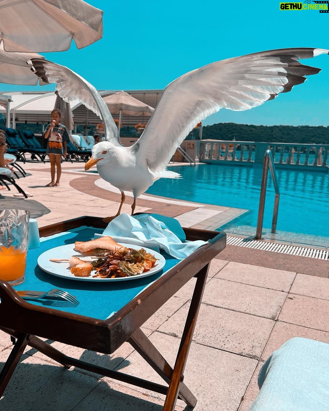 Meryem Uzerli Instagram - 💕 #istanbulmylove 🇹🇷 Ciragan Palace Kempinski Istanbul