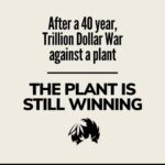 Method Man Instagram – People sellin whole pieces of ass on IG and y’all blow the whistle on a lil tree post. FOH! (See Previous post) y’all need your priorities checked or ya asses kicked! Ps: THE PLANT IS STILL WINNING… witcha goofy asses