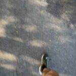 Michael Bisping Instagram - Cant best getting outside for a morning run especially on a beautiful day like this. Been smashing the exercise bike for cardio lately but it’s depressing as hell in my garage. Get outside people!