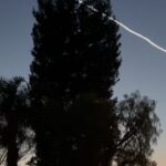 Michael Bisping Instagram - Didn’t know it was Elon launching starlink satellites at the time of recording this as we were out on an extended walk with the dog. Anyway, I’m devastated it’s not an alien attack or something 😂