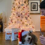 Michael Blakey Instagram - 🎄 🎅🏼 🎁 Wishing everyone a Very Merry Christmas full of joy, laughter and in Humphrey’s case @doctorharveys treats 🐶 ~~~~~~~~~~ In it to win it ! ~~~~~~~~~~ #producermichael #inittowinit #christmas #xmas #presents #christmastree #dog #bernedoodle #treats #joy @doctorharveys North Pole , Santa Workshop