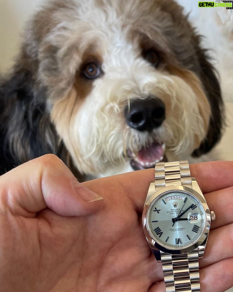Michael Blakey Instagram - Humphrey approved purchase! This piece is truly stunning and pictures don’t do it justice. Big thanks once to @wristaficionado for your amazing service and great pricing… ~~~~~~~~~~ In it to win it ! ~~~~~~~~~~ Beverly Hills, California