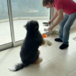 Michael Blakey Instagram - Make sure your pet has a great weekend too… Try feeding them the new @doctorharveys highly nutritious fresh ready made food - just add water. Humphrey strongly endorses it and approved this message. Have a great weekend! ~~~~~~~~~~ In it to win it ! ~~~~~~~~~~ Beverly Hills, California
