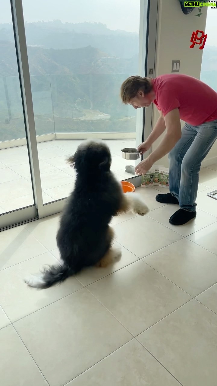 Michael Blakey Instagram - Make sure your pet has a great weekend too… Try feeding them the new @doctorharveys highly nutritious fresh ready made food - just add water. Humphrey strongly endorses it and approved this message. Have a great weekend! ~~~~~~~~~~ In it to win it ! ~~~~~~~~~~ Beverly Hills, California