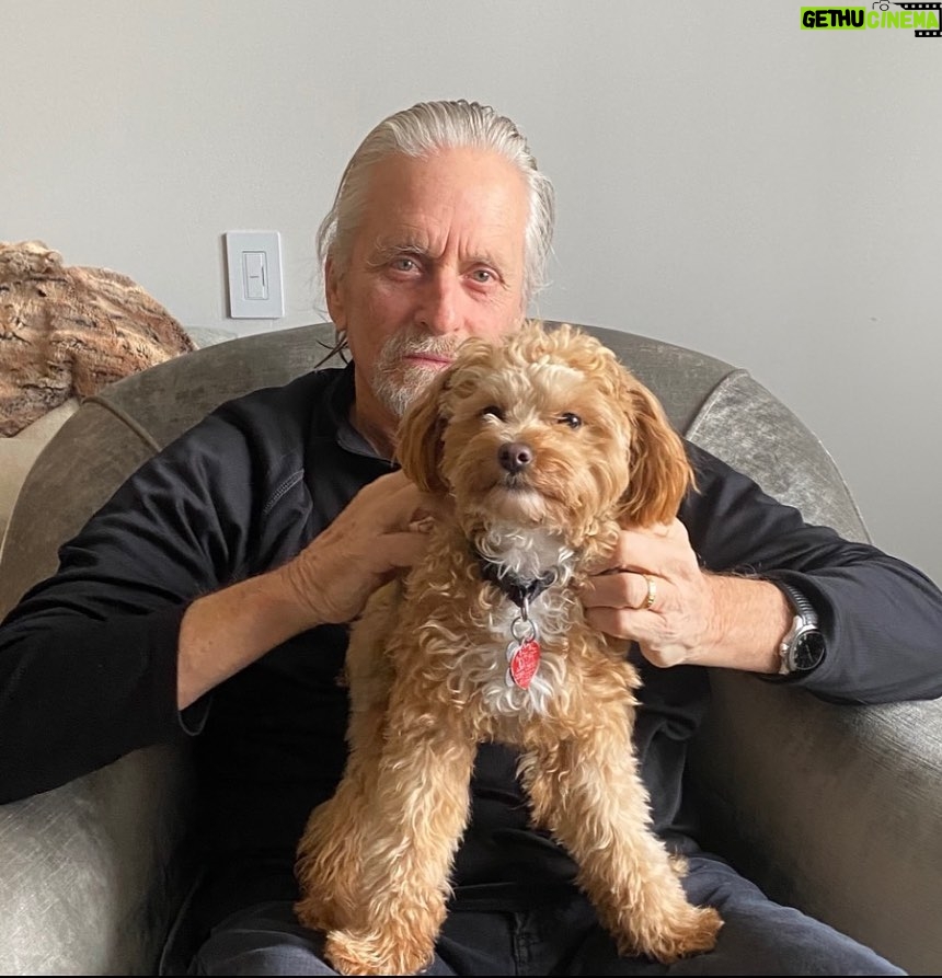 Michael Douglas - 47.7K Likes - Celebrating #NationalDogDay with the one & only Taylor Douglas!