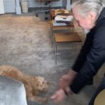 Michael Douglas Instagram - Playing around with the only & only Taylor Douglas! Happy #NationalPuppyDay!