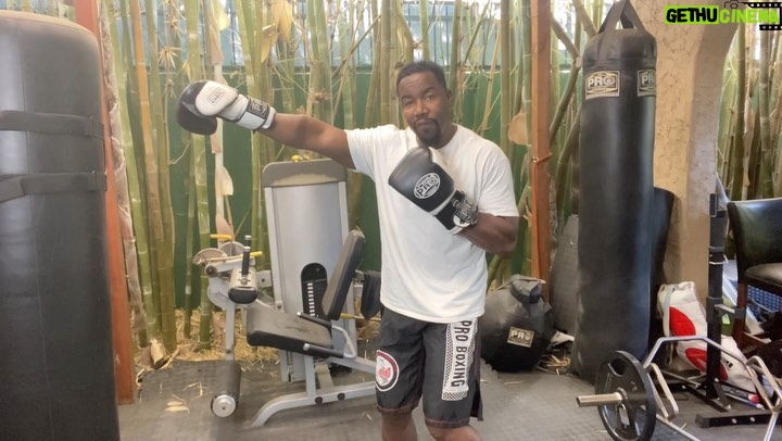 Michael Jai White Instagram - TECHNIQUE OF THE WEEK #dojobymichaeljaiwhite #fitnessapp #martialarts #fitness #mma #karate #ufc #kyokushin #selfdefense #fighting #movement #technique #motivation #michaeljaiwhite #plank #plankpartner
