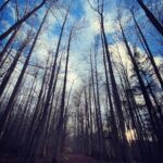 Michael Malarkey Instagram – had a magical time in the great smoky mountains celebrating my mama’s 60th birthday; she has truly given her life to serving other people and the environment and i am so proud of the waves she is making for ecological regeneration and biodiversity in her work. 60 is a big one! give her a shout if ya can! ;)) @nadiamalarkey