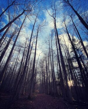 Michael Malarkey Instagram - had a magical time in the great smoky mountains celebrating my mama’s 60th birthday; she has truly given her life to serving other people and the environment and i am so proud of the waves she is making for ecological regeneration and biodiversity in her work. 60 is a big one! give her a shout if ya can! ;)) @nadiamalarkey