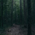 Michael Malarkey Instagram - oh snap…happy 6th birthday to the #mongrels LP! thank you to all of the wonderful, talented ATLiens who worked with me on this - it really was a magical time - and to all of you for continuing to support independent music! much more in store soon… x —> what are your top 3 songs from the record? <—