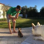 Michael Phelps Instagram - We had some pretty awesome times buddy…. Thanks for being such a bad ass dog! Love ya and will always miss ya ledgey 🥺 Say hi to Juno and herm for us! Rip buddy…