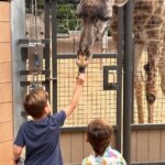 Michael Phelps Instagram - Thank you @sandiegozoo for making our visit extra special 🥰 each of the wildlife specialists we encountered and our guide made the day that much better. If I had to pick a moment, ok maybe 2, the hippos 🦛 and being patient for the polar bears 🐻‍❄️ stand out ❤️ ok wait maybe the grandma giraffe named Nicky ☺️ San Diego Zoo