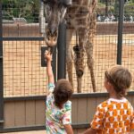 Michael Phelps Instagram - Thank you @sandiegozoo for making our visit extra special 🥰 each of the wildlife specialists we encountered and our guide made the day that much better. If I had to pick a moment, ok maybe 2, the hippos 🦛 and being patient for the polar bears 🐻‍❄️ stand out ❤️ ok wait maybe the grandma giraffe named Nicky ☺️ San Diego Zoo