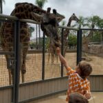 Michael Phelps Instagram - Thank you @sandiegozoo for making our visit extra special 🥰 each of the wildlife specialists we encountered and our guide made the day that much better. If I had to pick a moment, ok maybe 2, the hippos 🦛 and being patient for the polar bears 🐻‍❄️ stand out ❤️ ok wait maybe the grandma giraffe named Nicky ☺️ San Diego Zoo