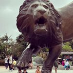 Michael Phelps Instagram - Thank you @sandiegozoo for making our visit extra special 🥰 each of the wildlife specialists we encountered and our guide made the day that much better. If I had to pick a moment, ok maybe 2, the hippos 🦛 and being patient for the polar bears 🐻‍❄️ stand out ❤️ ok wait maybe the grandma giraffe named Nicky ☺️ San Diego Zoo