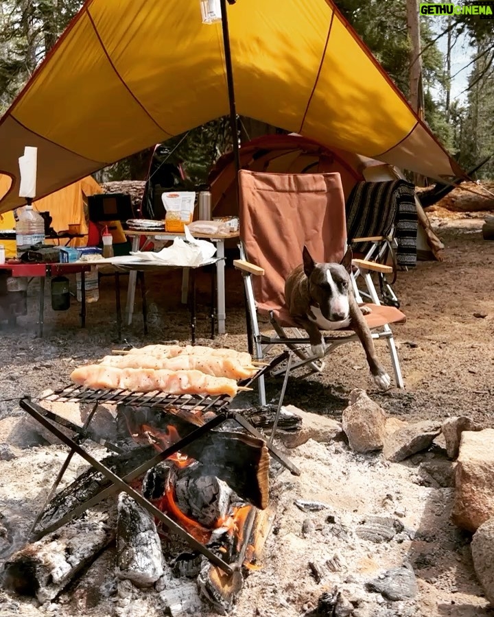 Michael Trevino Instagram - Off Grid weekend recap in Sequoia National Forest. We hit Sherman Peak Trail at 10k elevation. Just getting the camping/overlanding season started 🏕 #overlanding #camping #offroad #sponsorus