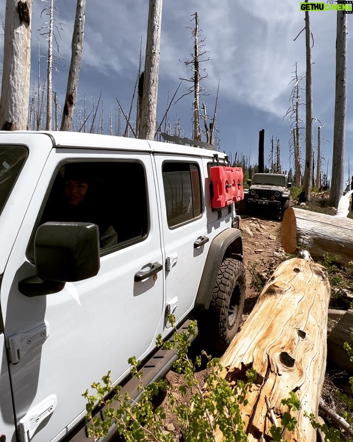 Michael Trevino Instagram - Off Grid weekend recap in Sequoia National Forest. We hit Sherman Peak Trail at 10k elevation. Just getting the camping/overlanding season started 🏕 #overlanding #camping #offroad #sponsorus