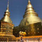 Michael Trevino Instagram - My first trip to Thailand and I feel like we’re doing this right. . . . #thailandinsider#chiangmai #amazingthailand Chiang Mai, Thailand